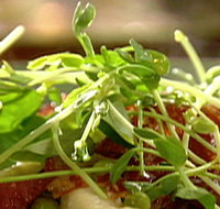 Wild Hearts Cafe Restaurant - Tourism Bookings