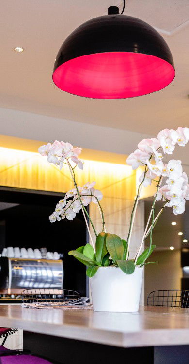 MRepublic Restaurant, Bar And Lounge - Events Australia 4