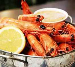 Sandgate QLD Events Australia