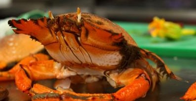 River Cottage Restaurant - Events Australia 0