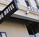 Skinny Dog Hotel - Events Australia