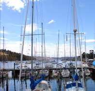 Oyster Cove Inn - Accommodation Europe