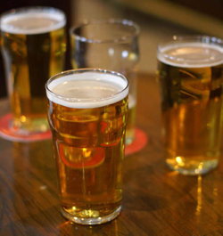 The Logan Pub - Tourism Bookings 2