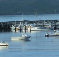 The Apollo Bay Hotel - Events Australia