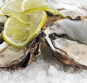 Platform Restaurant and Bar - Tourism Bookings