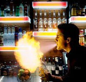 Dome Bar - Tourism Bookings