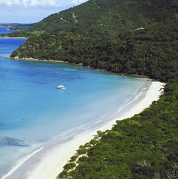 Palm Cove Tavern - Events Australia 1