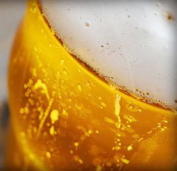 Palm Cove Tavern - Events Australia 3