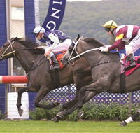 Gosford Race Club - Tourism Bookings