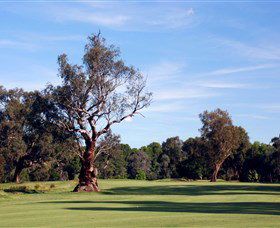 Corowa Golf Club - Tourism Bookings 5