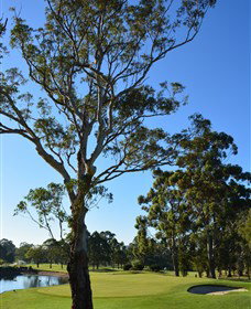 Ryde-Parramatta Golf Club - Events Australia 0