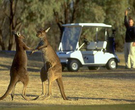Coomealla Golf Club - Tourism Bookings 2