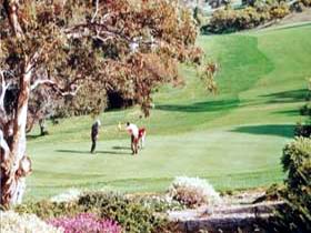 Victor Harbor Golf Club - Tourism Bookings 1
