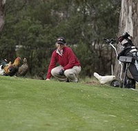Tasmania Golf Club - The - Tourism Bookings