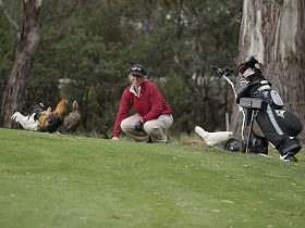 Tasmania Golf Club - The - Events Australia 0