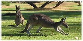 Rockingham Golf Club - Events Australia 2