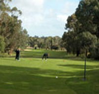 Mount Gambier Golf Club - Tourism Bookings