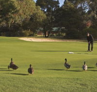 Royal Hobart Golf Club - Events Australia