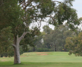 Tocumwal Golf Club - Tourism Bookings 2
