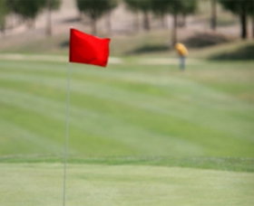 Gold Creek Country Club - Tourism Bookings 0