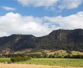 Cobark NSW Events Australia