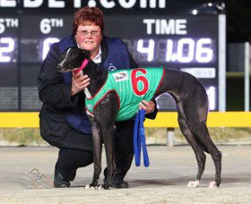 Bulli Greyhound Racing Club - Events Australia 0