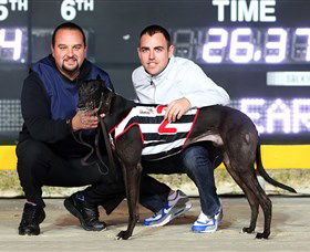 Bulli Greyhound Racing Club - Events Australia 1