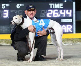 Bulli Greyhound Racing Club - Events Australia 2