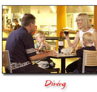 Steelers Club - Events Australia