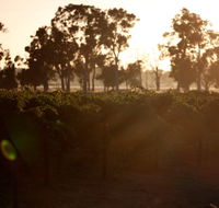 Evans  Tate - Events Australia