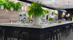 Ivy Bar - Tourism Bookings 2