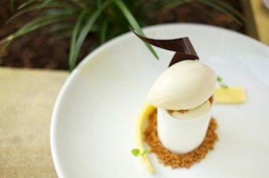 Le Pelican - Tourism Bookings 0