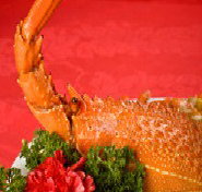 Marigold - Events Australia