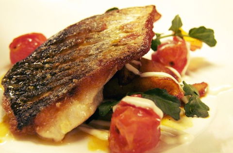 Dome - Tourism Bookings 4