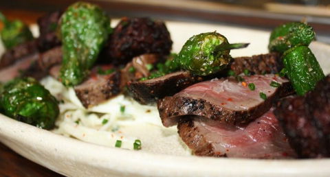 MoVida Sydney - Tourism Bookings 1