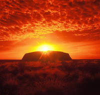 Annie's Place - Events Australia