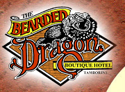 The Bearded Dragon Hotel - Events Australia 0