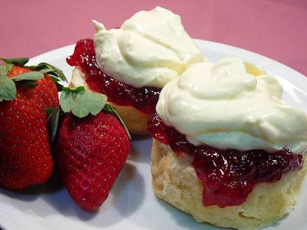 Point Vernon QLD Tourism Bookings