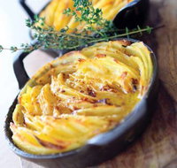 Quattro Lennox Head - Events Australia