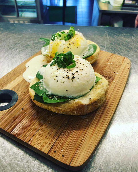 The Green Eat - Tourism Bookings 4