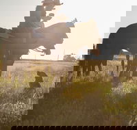 Balonne Cutting Horse Futurity - Events Australia