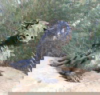 Bathurst Arts Trail - Events Australia