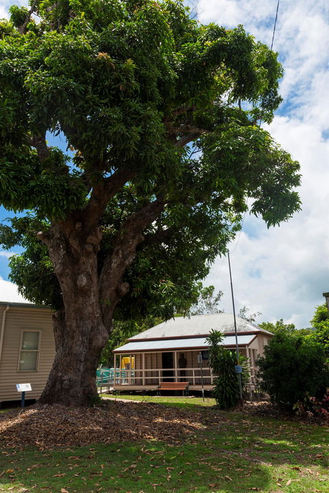 Cardwell Pioneers Tour - Events Australia 1
