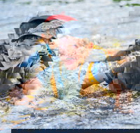 Cave Hill Creek Summer Camp - Events Australia