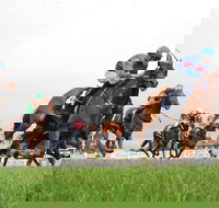 Christmas Cup Race Day - Events Australia