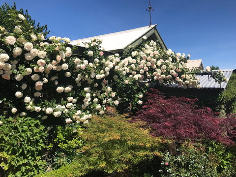 Crookwell Garden Festival - Events Australia 1