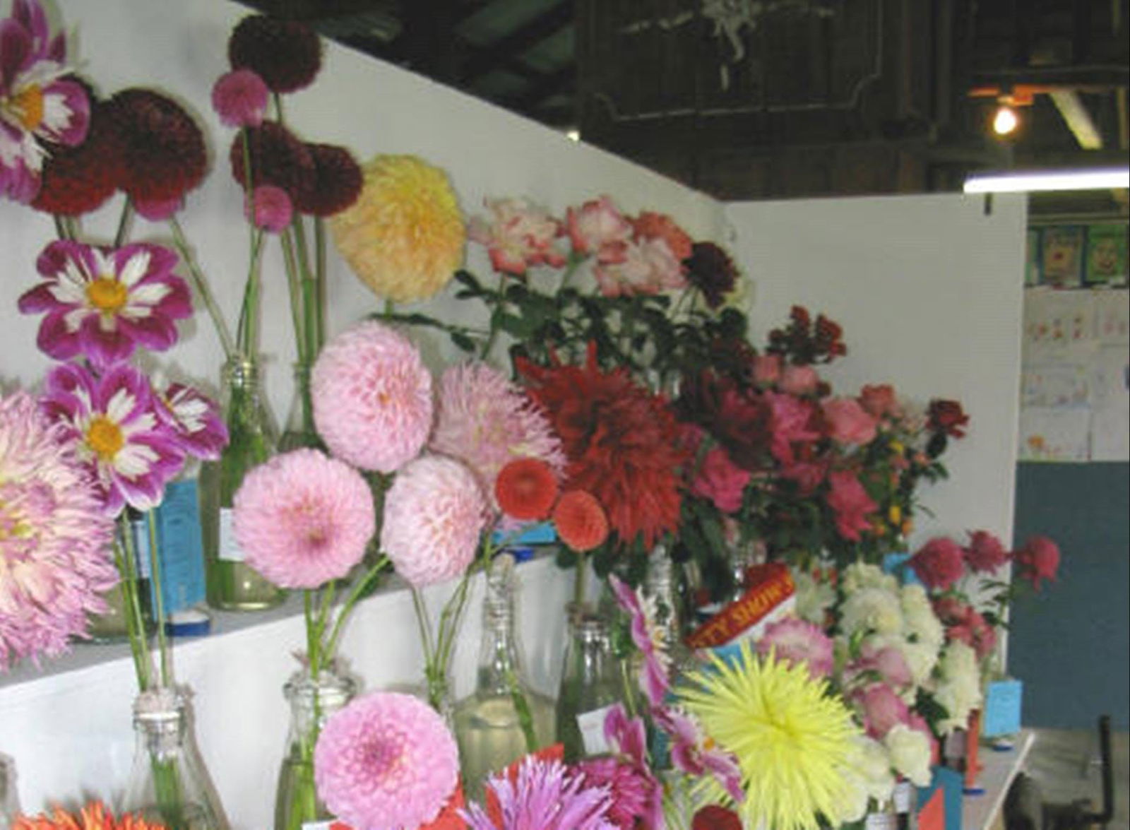 Avonside NSW Events Australia