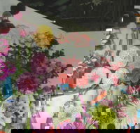 Dalgety Show - Events Australia