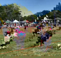 Dogs in the Park Orange - Events Australia
