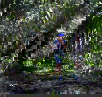 Elephant Trail Race - Events Australia